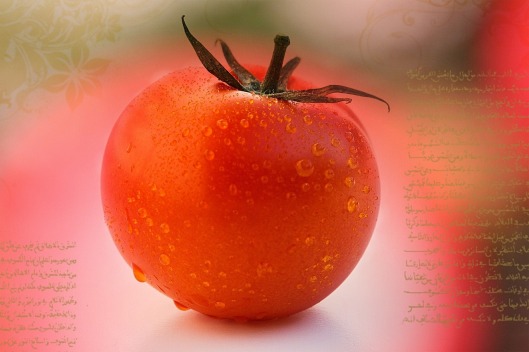 tomato-587719_1280